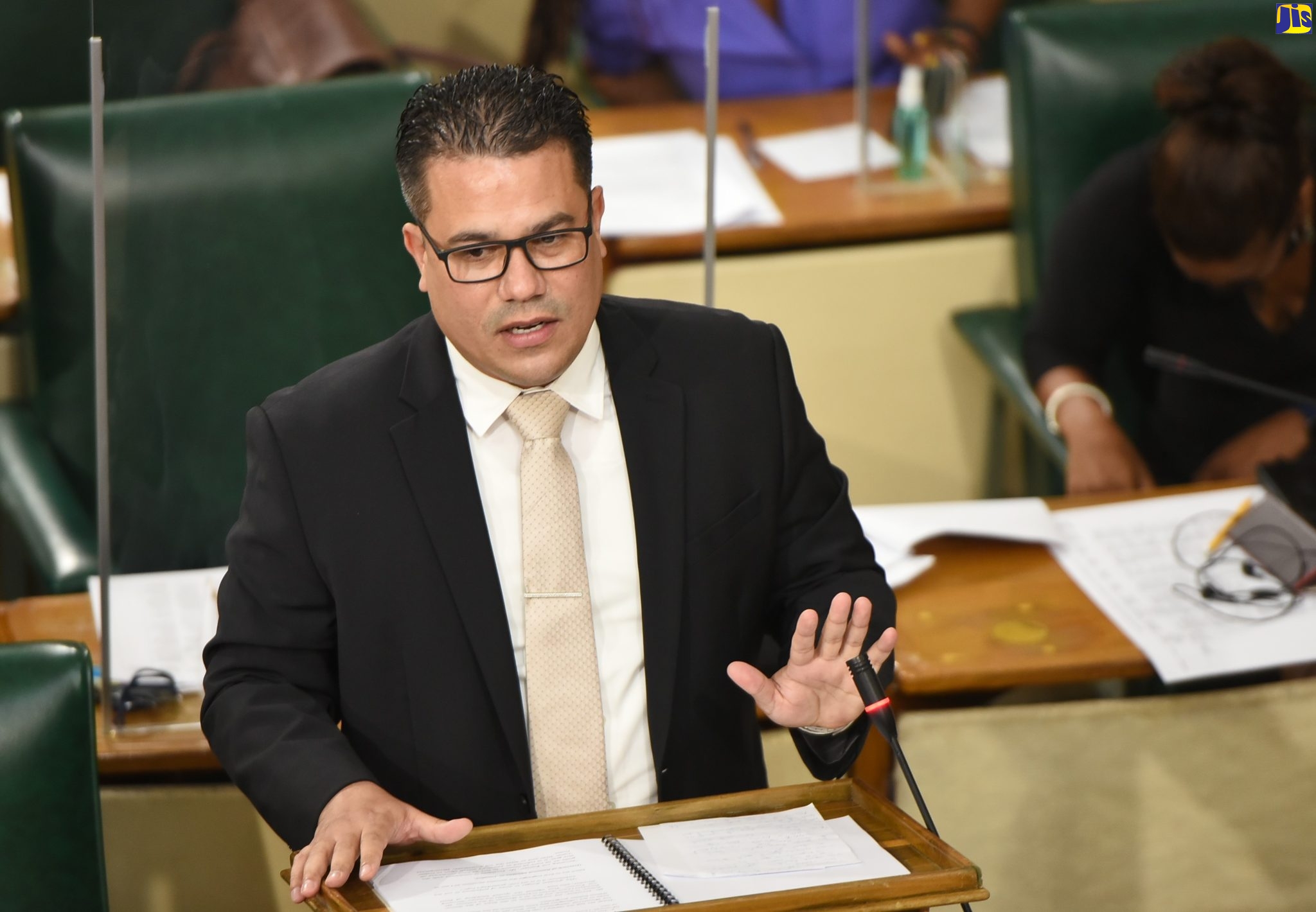 Minister without Portfolio in the Ministry of Economic Growth and Job Creation, Senator the Hon. Matthew Samuda.