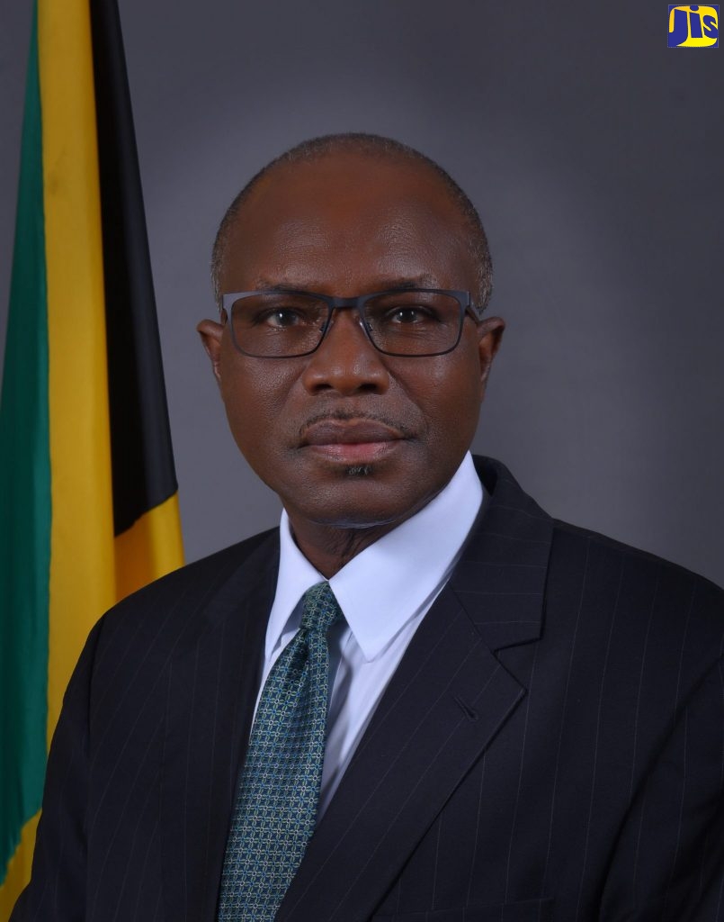 Minister without portfolio in the Ministry of Economic Growth and Job Creation, Hon. Everald Warmington.
