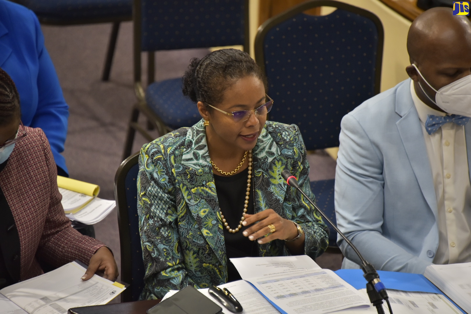Minister of Legal and Constitutional Affairs, Hon.  Marlene Malahoo Forte (centre), speaking during the sitting of the Standing Finance Committee at Gordon House on March 3. At right is Permanent Secretary in the Ministry, Wayne O. Robertson.