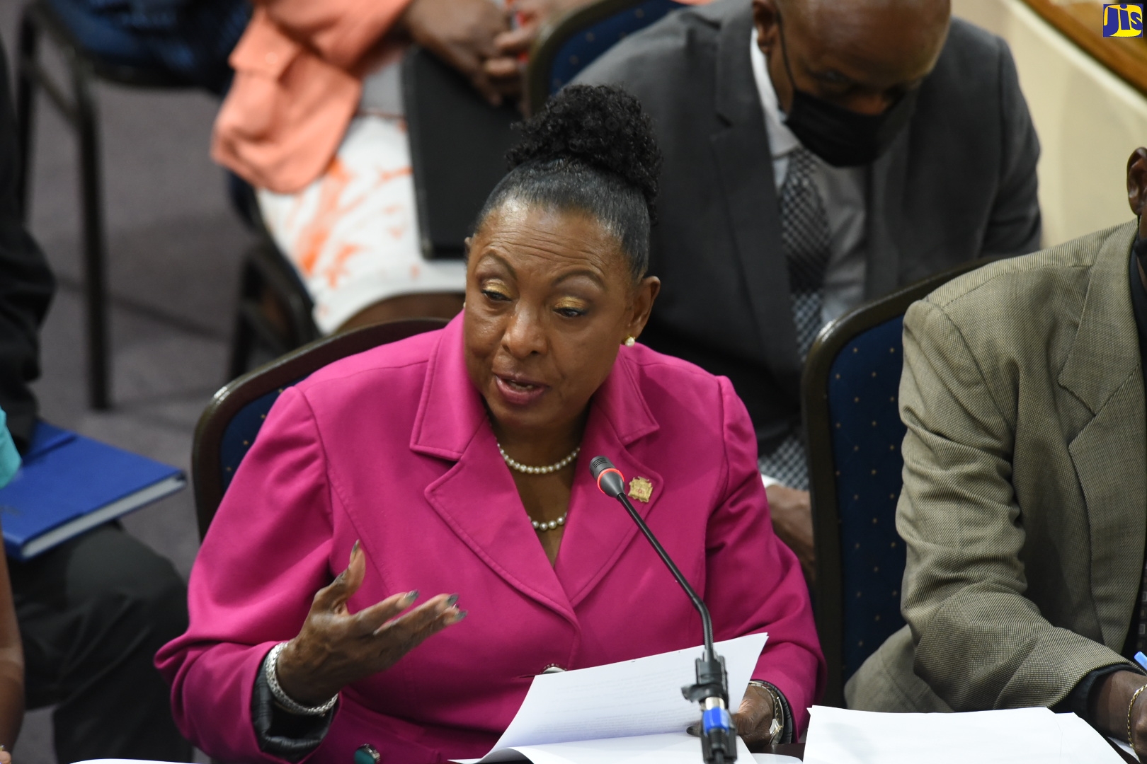 Culture, Gender, Entertainment and Sport Minister, Hon. Olivia Grange, speaking during Thursday’s (March 3) meeting of the Standing Finance Committee of the House of Representatives.