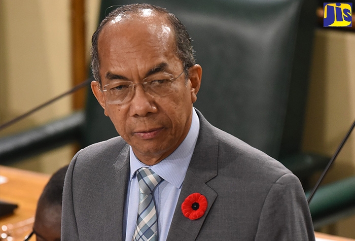 Deputy Prime Minister and Minister of National Security, Hon. Dr. Horace Chang.