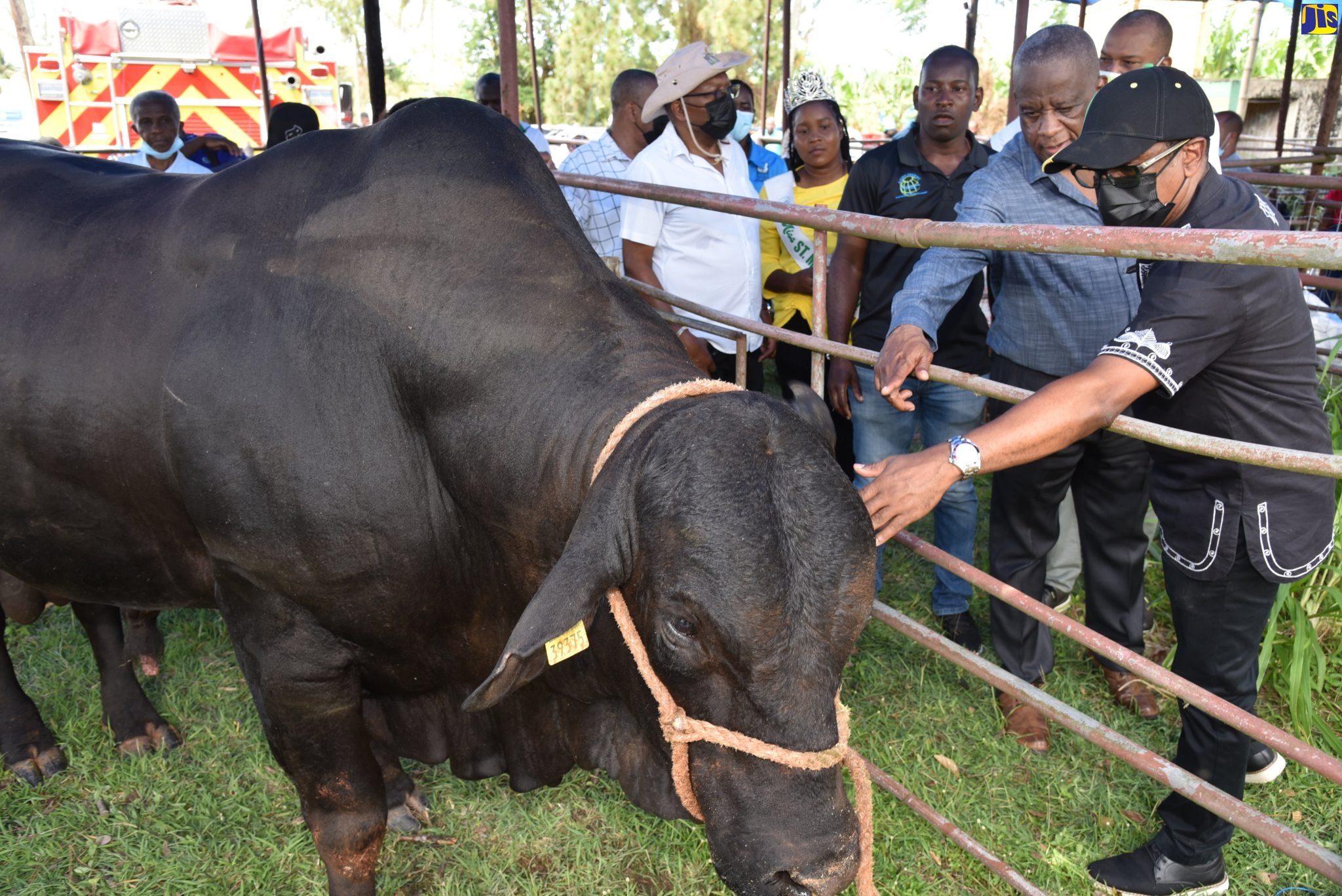 Goat Milk Farmers Cluster Coming To St Mary