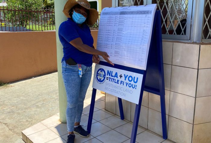 Burnt Savannah Display 2