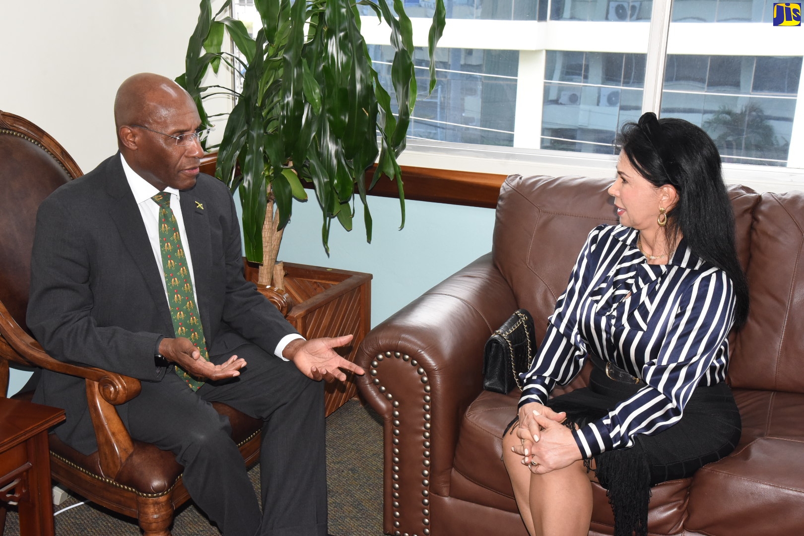 Minister of Industry, Investment and Commerce, Senator the Hon. Aubyn Hill (left), speaks with Ambassador of Brazil to Jamaica, Her Excellency Moreira Marcelino de Castro, during a courtesy call at the Ministry in Kingston, recently.