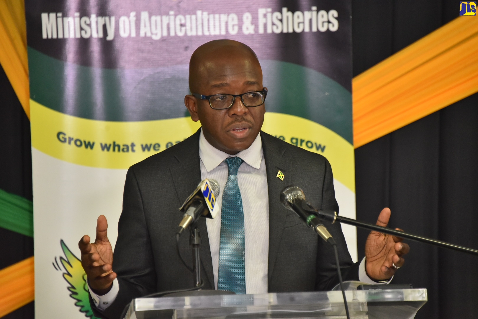 Agriculture and Fisheries Minister, Hon. Pearnel Charles Jr., addresses the Ministry’s post Sectoral Debate media briefing, on May 18 at its Old Hope Road offices in Kingston and online.