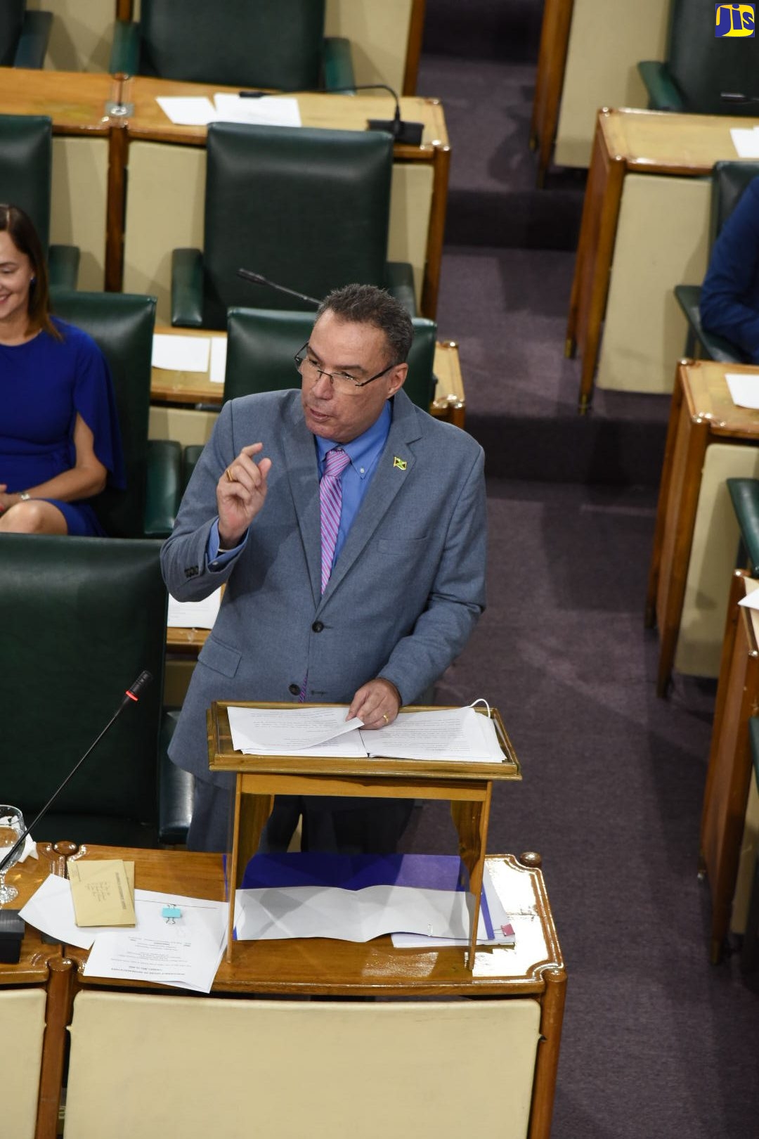 Minister of Science, Energy and Technology, Hon. Daryl Vaz, highlights a matter of importance while making his contribution to the 2022/23 Sectoral Debate in the House of Representatives on May 10.