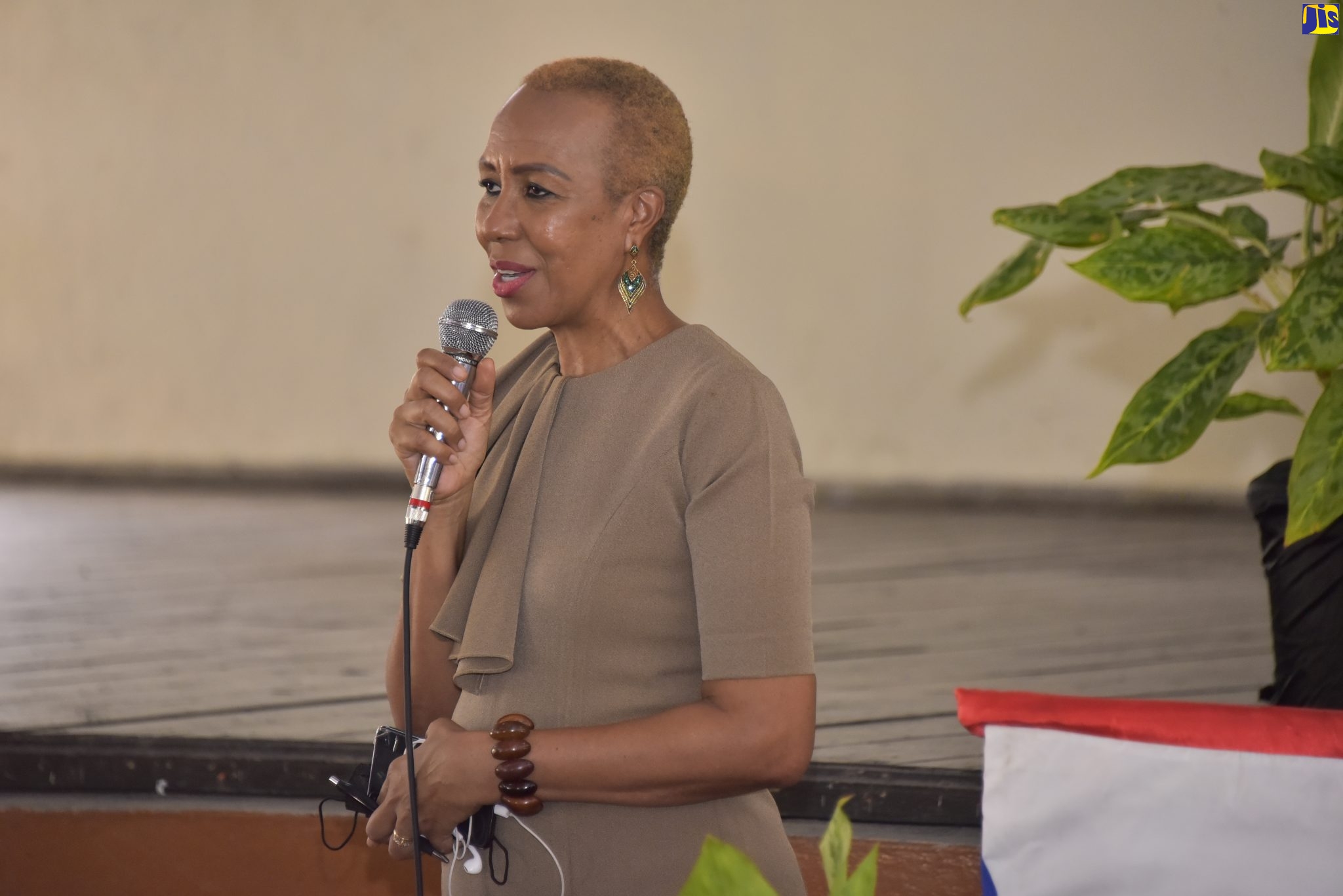 Minister of Education and Youth, Hon. Fayval Williams 