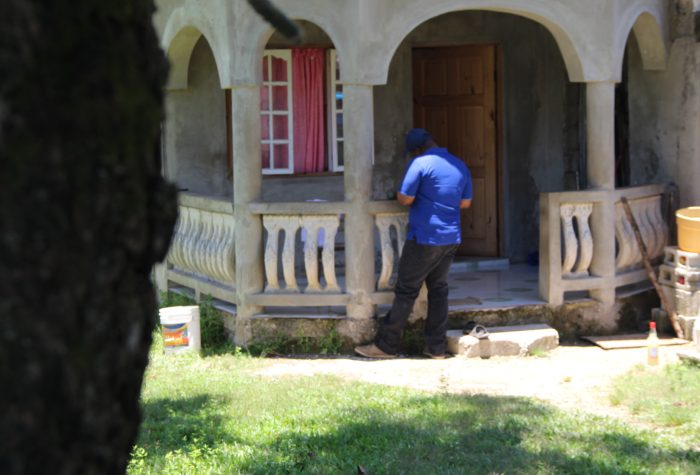 Officers in Field in Rice Piece