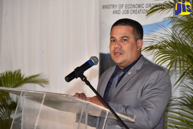 Minister Without Portfolio in the Ministry of Economic Growth and Job Creation, Senator the Hon. Matthew Samuda.