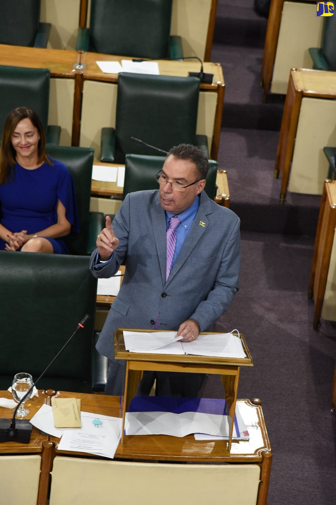 Minister of Science, Energy and Technology, Hon. Daryl Vaz, makes his contribution to the 2022/2023 Sectoral Debate in the House of Representatives on May 10. In the background is the Minister’s wife and Member of Parliament for East Portland, Ann-Marie Vaz.