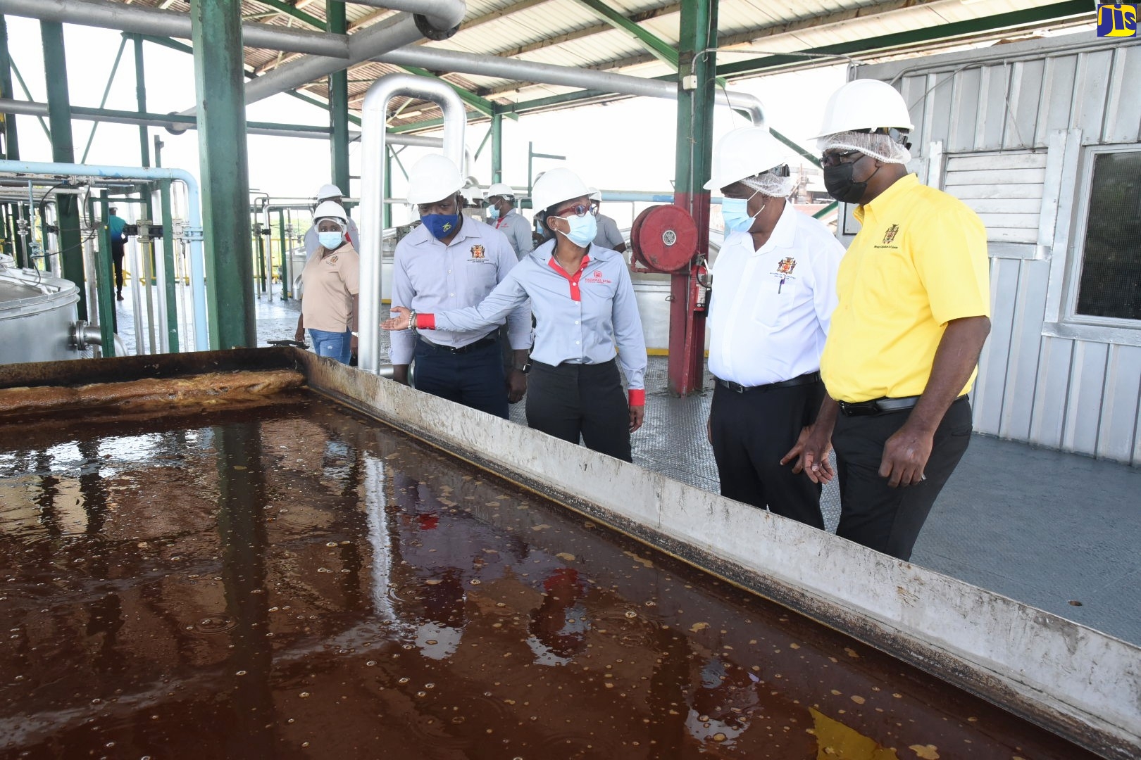 National Rums Jamaica Looking to Expand Sugarcane Cultivation