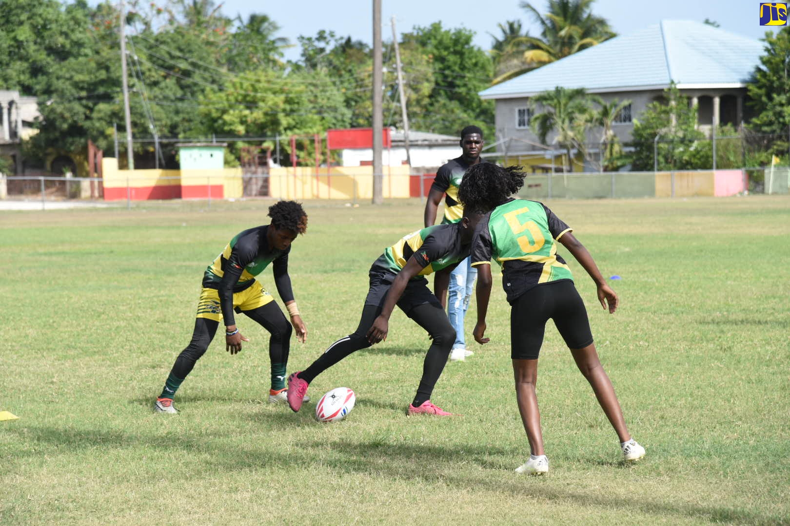 Members of the Jamaica Rugby Football Union