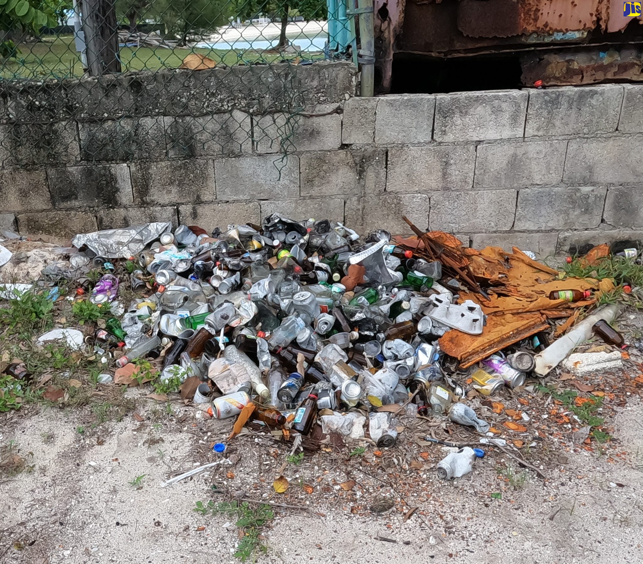 Big Clean-Up For Fisherman’s Beach On World Oceans Day