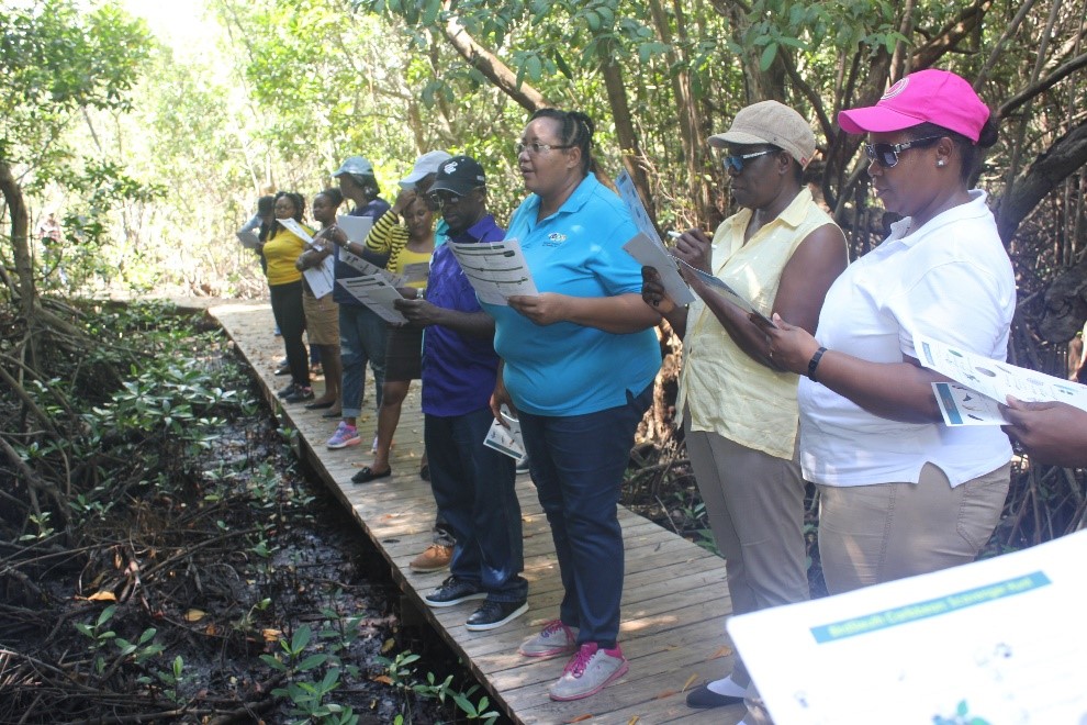 Senior Public Education Officer at the National Environment and Planning Agency (NEPA), Ava Tomlinson (third right), conducts a birdwatching session with teachers from 20 primary schools at the Portland Bight Discovery Centre as part of the 2018 Caribbean Endemic Bird Festival. Environmental awareness aids in appreciation and individual responsibility for environmental protection. 