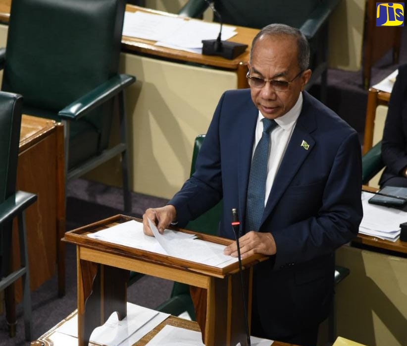 Deputy Prime Minister and Minister of National Security, Hon. Dr. Horace Chang addressing the House of Representatives on June 28