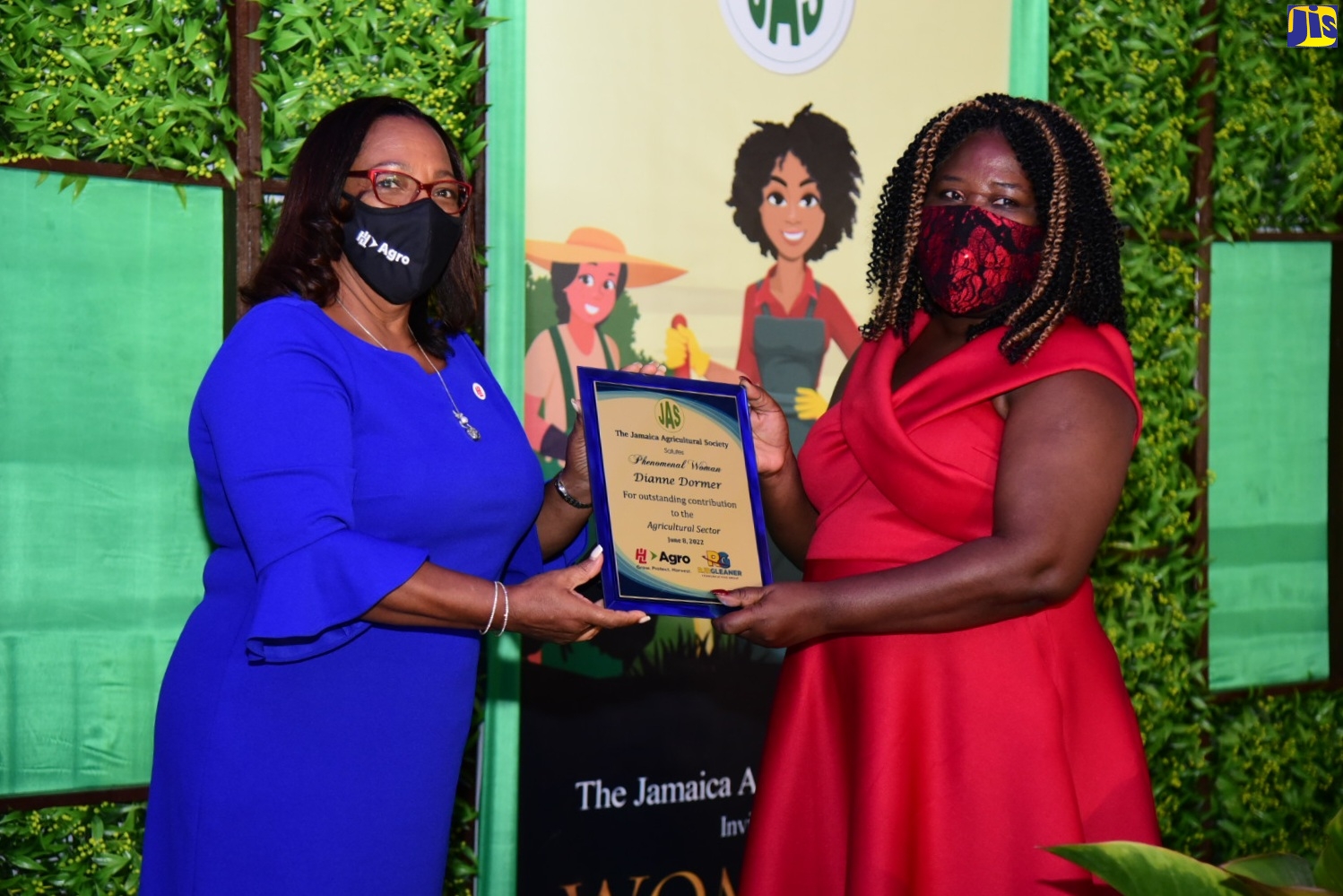 Dianne Dormer (right) receives her ‘Phenomenal Woman in Agriculture’ award from Deputy Chief Executive Officer of Hardware and Lumber, Olive Downer Walsh. Ms Dormer was one of 20 women selected by the Jamaica Agricultural Society for the award. The event was held on Wednesday, June 8 at the Terra Nova All-Suite Hotel.