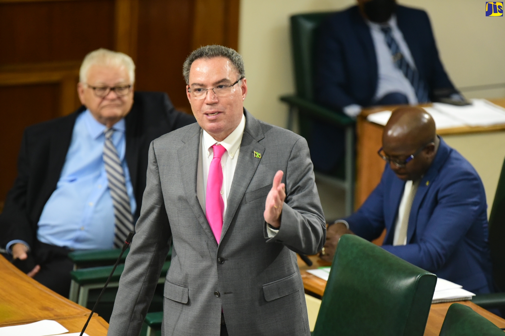Minister of Science, Energy and Technology, Hon. Daryl Vaz.