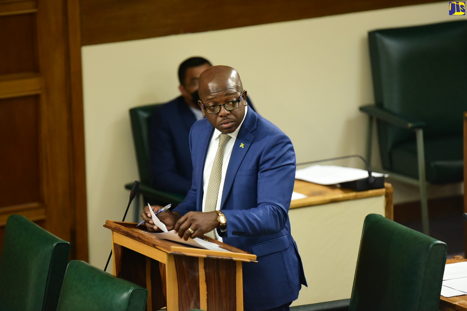 Minister of Agriculture and Fisheries, Hon. Pearnel Charles Jr., speaks in the House of Representatives on Tuesday (July 19).