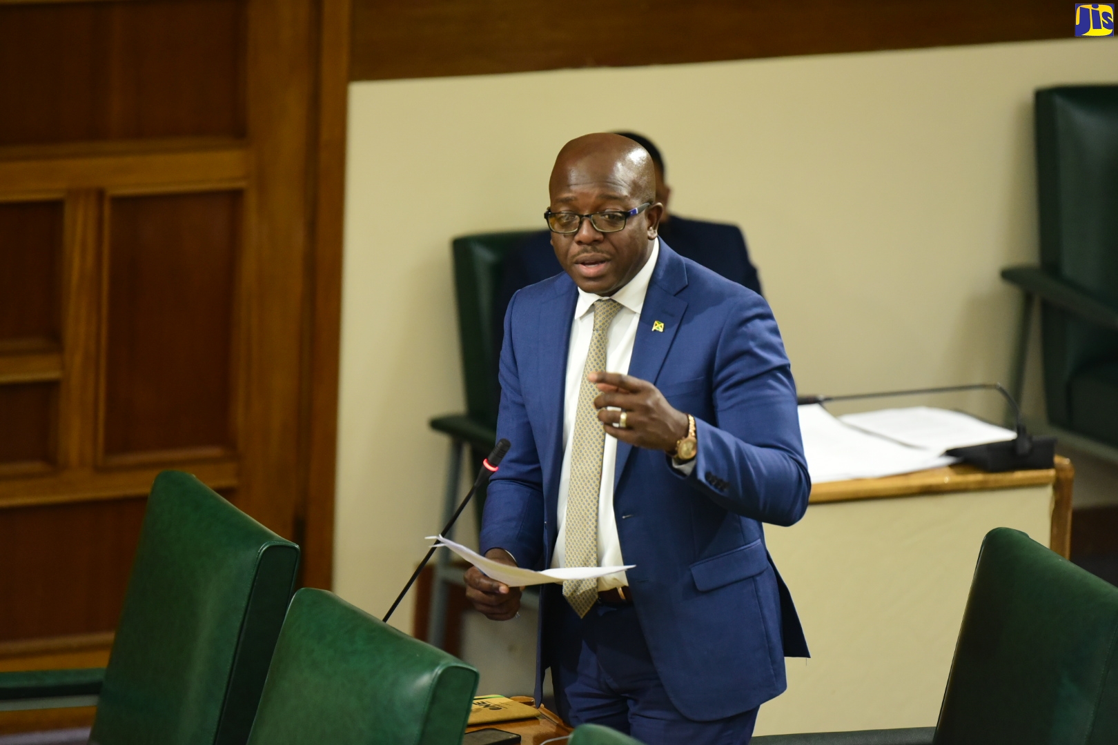 Minister of Agriculture and Fisheries, Hon. Pearnel Charles Jr., speaking in the House of Representatives on Tuesday (July 19).