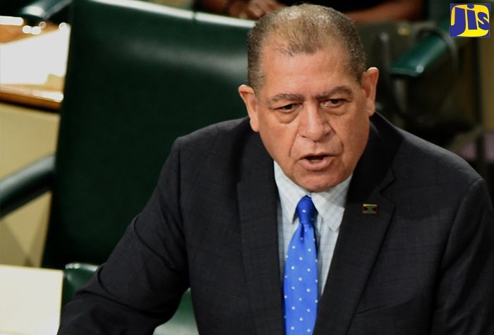 Minister of Transport and Mining, Hon. Audley Shaw, speaks in the House of Representatives on July 5.