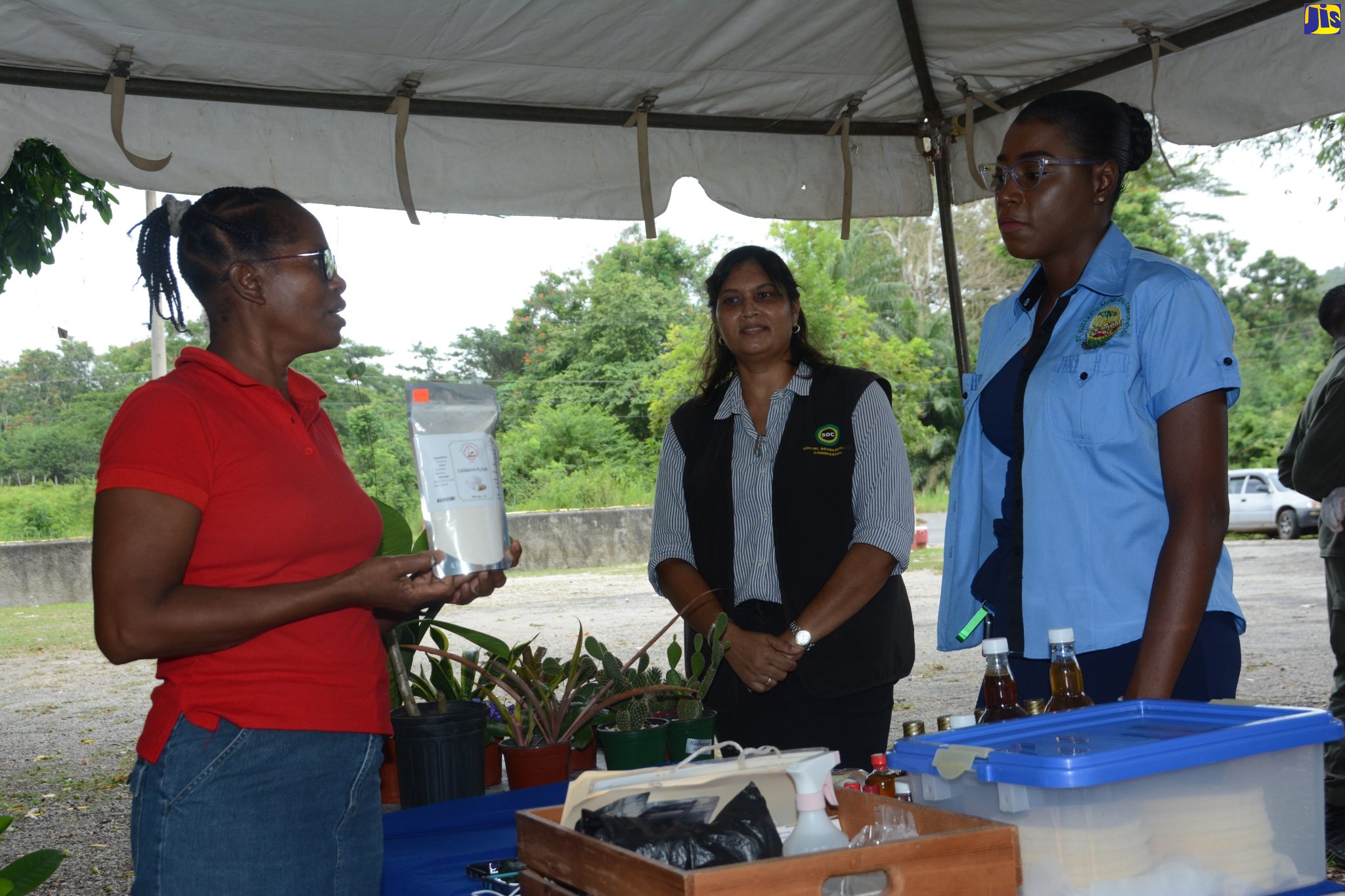Member of the Maggotty Community Development Committee (CDC), June Dixon-Samuels (left), shows off her homemade cassava flour to customer, Ornella Lewis (right), during a Social Development Commission (SDC) Social Fair in Maggotty, St. Elizabeth, on Friday (July 1). Looking on is SDC’s Community Development Officer, Elizabeth Sanderson.  