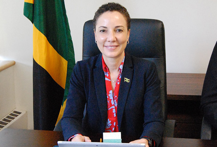 Caribbean Needs Disaster Risk Financing Solutions – Senator Johnson Smith