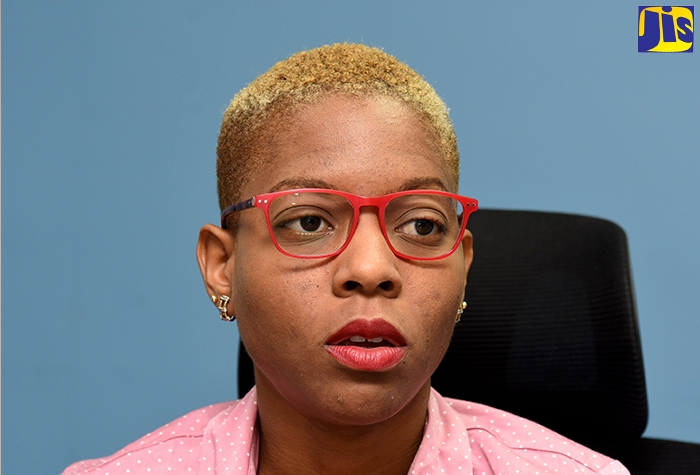 Portal Makes It Easy to Do Business in Jamaica