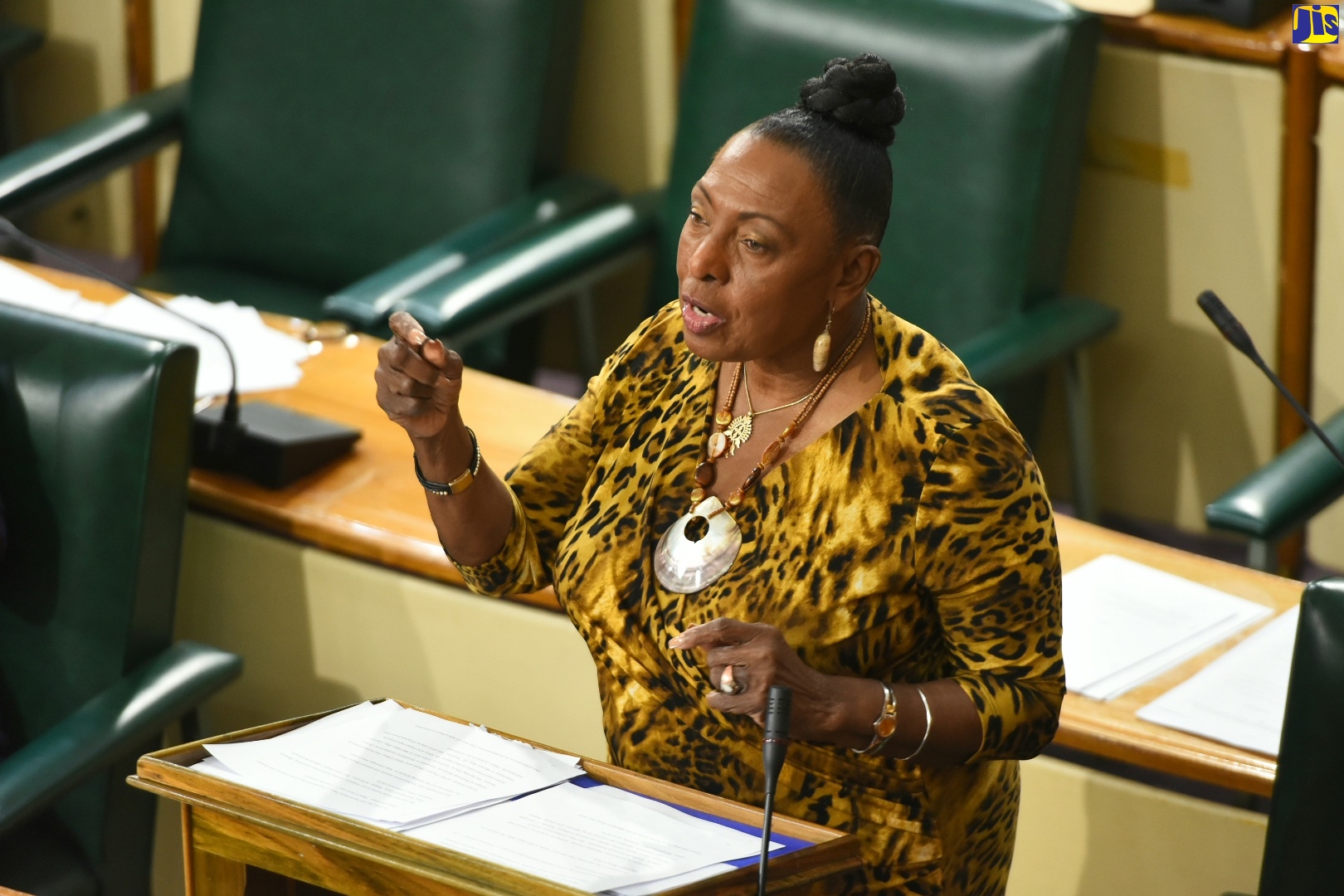 Minister of Culture, Gender, Entertainment and Sport, Hon. Olivia Grange, addresses the House of Representatives on July 26.