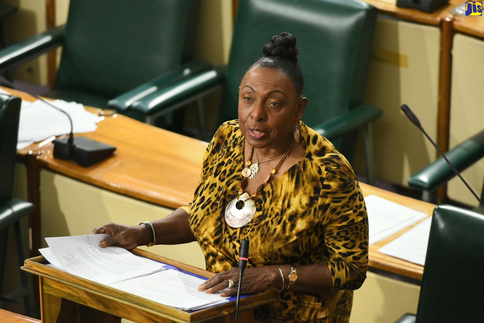 Minister of Culture, Gender, Entertainment and Sport, Hon. Olivia Grange, speaks in the House of Representatives on July 26.