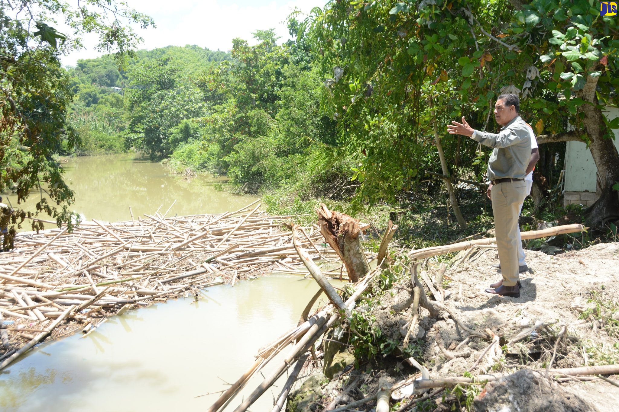 Minister of State in the Office of the Prime Minister (West), Hon. Homer Davis, observes the bamboo debris blockage in the Riley River during a tour of flood-prone areas in Lucea, Hanover, on Wednesday (August 17).