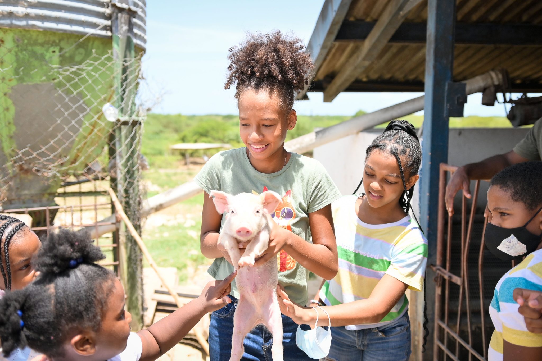 Successful Summer Grow Camp Staged by Budding Farmers Jamaica