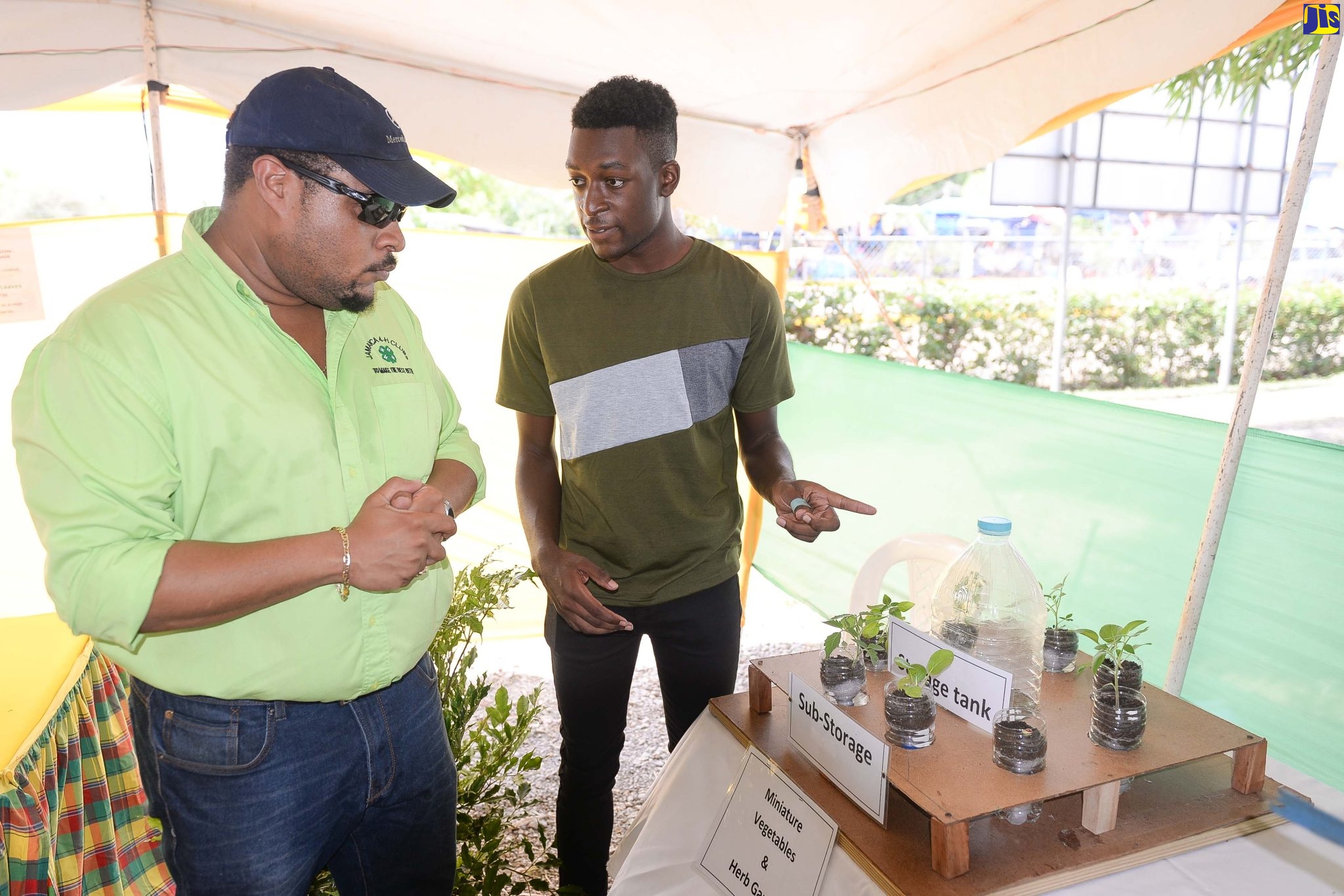 Youth in Agriculture Shine at Denbigh