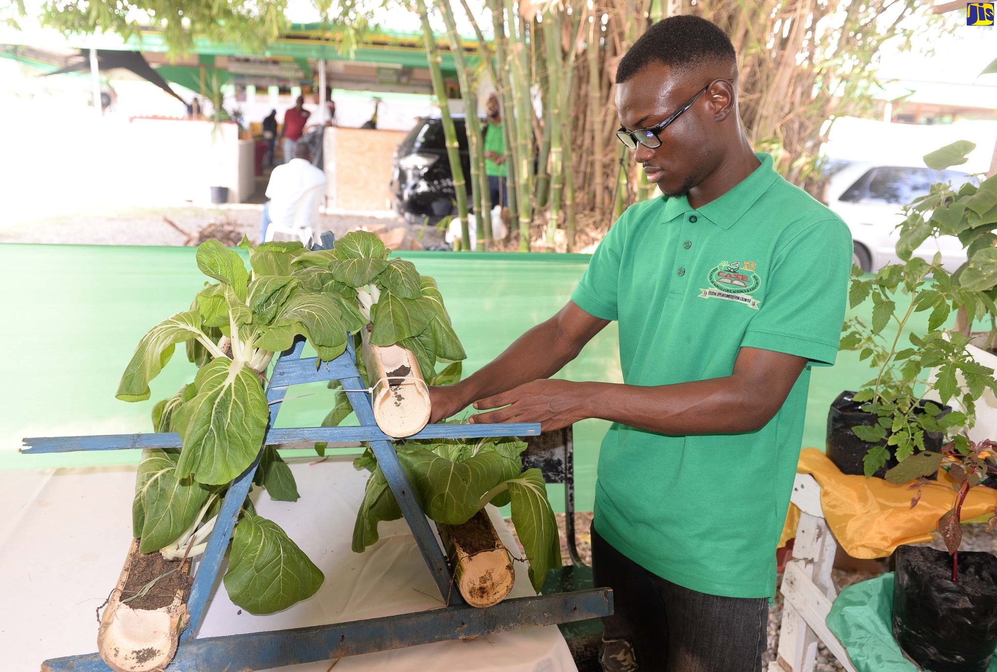 Youth in Agriculture Shine at Denbigh