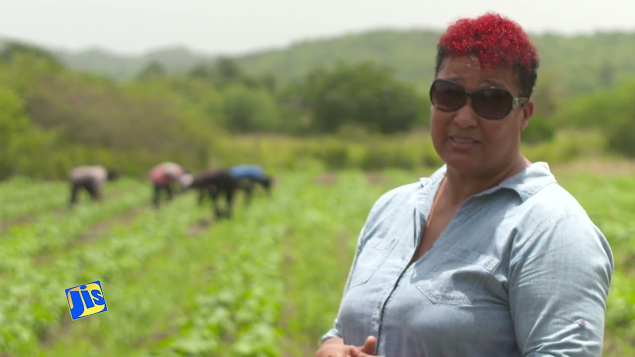 Female Face of Farming – Elaine Sadler
