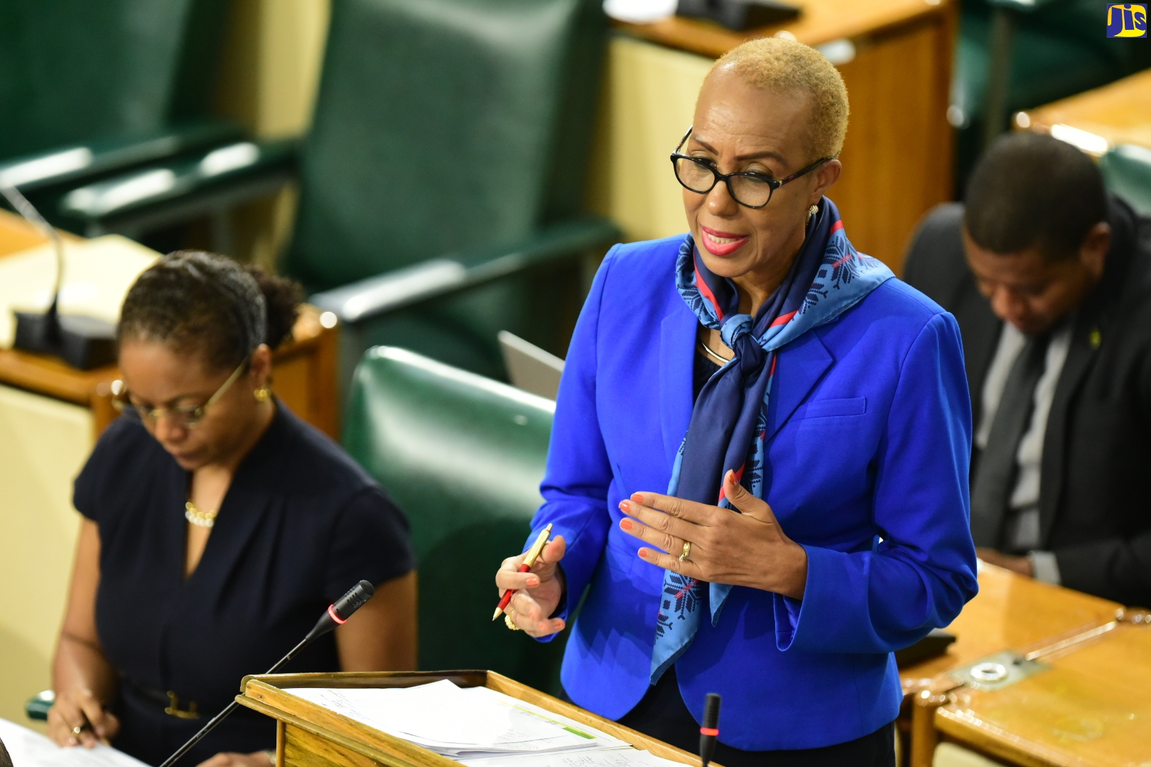 Minister of Education and Youth and Member of Parliament for St. Andrew Eastern, Hon. Fayval Williams, speaking in the House of Representatives recently.