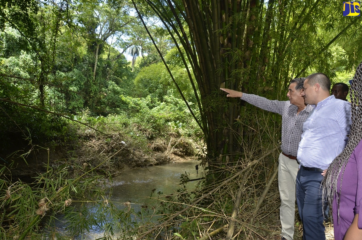 Maintenance Project for Riley River in Lucea