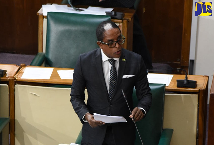 Minister of State in the Ministry of Industry, Investment and Commerce, Dr. the Hon. Norman Dunn, speaking in the House of Representatives on Tuesday (September 27).