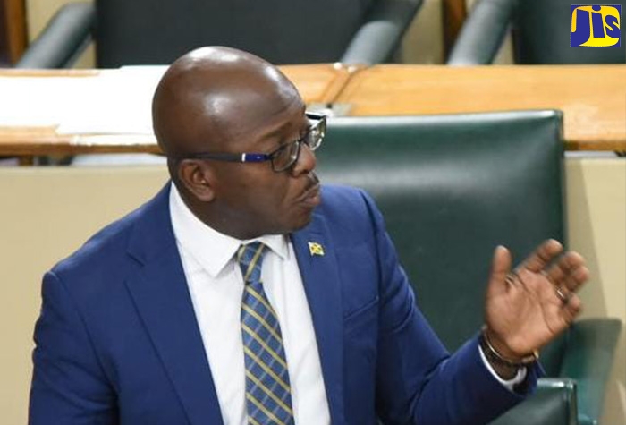 Minister of Agriculture and Fisheries, Hon. Pearnel Charles Jr., speaking during Wednesday’s (September 7) sitting of the House of Representatives.
