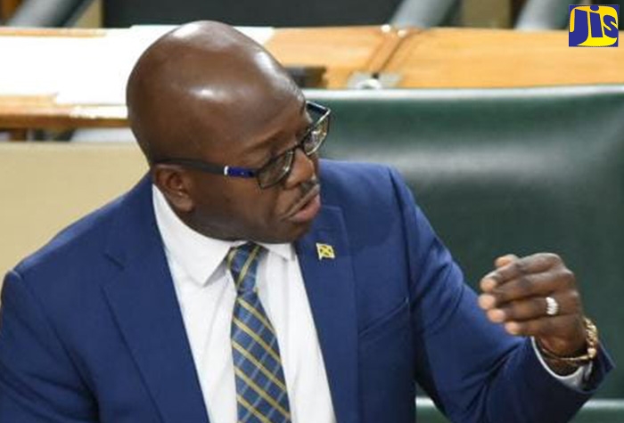Minister of Agriculture and Fisheries, Hon. Pearnel Charles Jr., speaking during Wednesday’s (September 7) sitting of the House of Representatives.