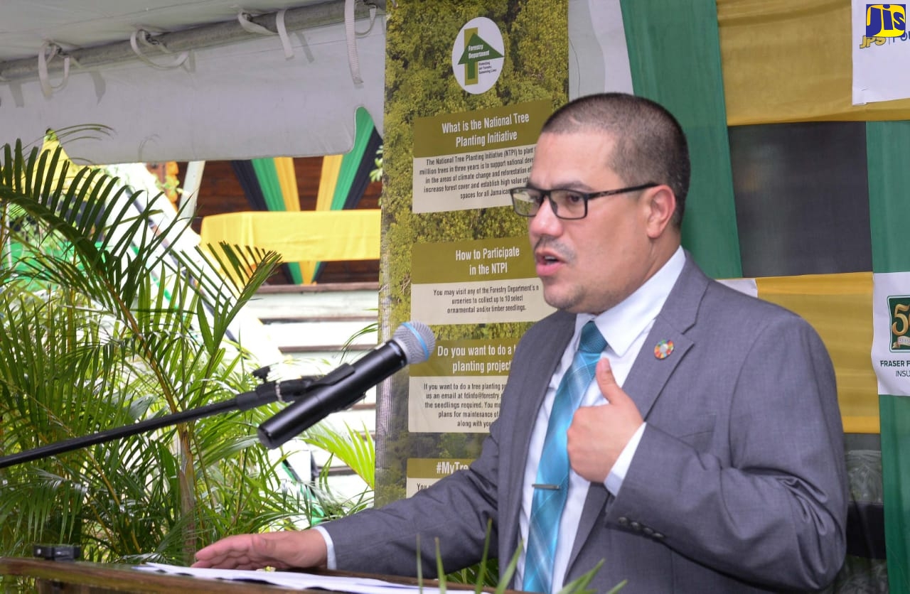Preservation of Trees Critical to Sustaining Jamaica’s Development – Minister Samuda