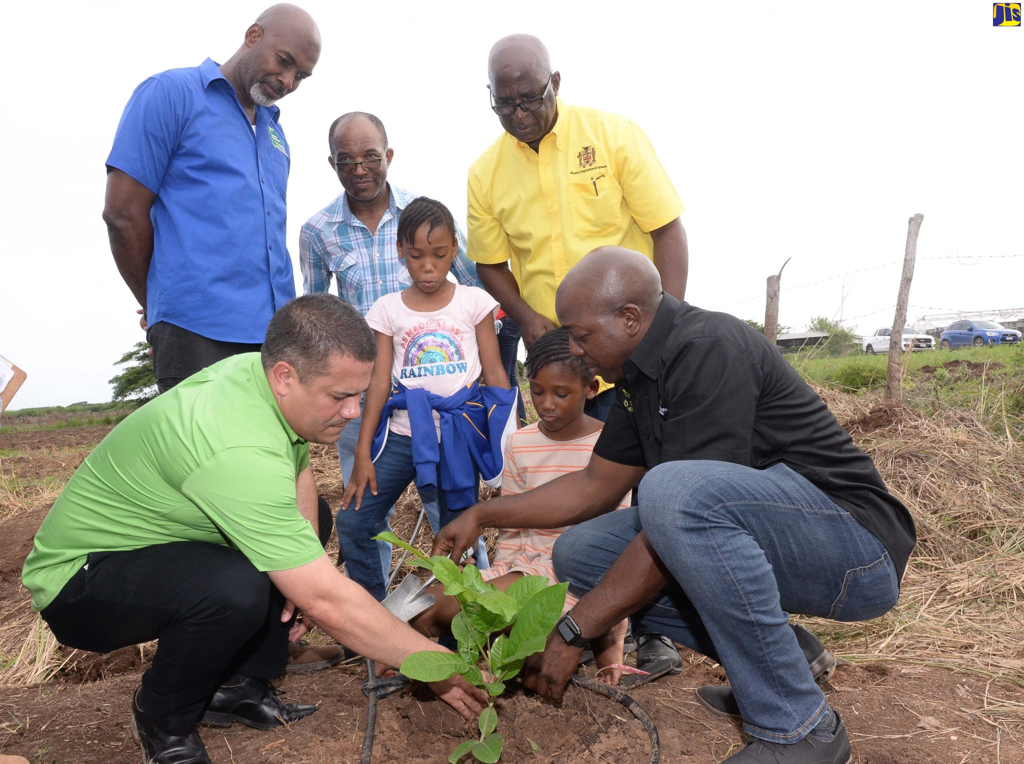 Minister without Portfolio in the Ministry of Economic Growth and Job Creation, Senator the Hon. Matthew Samuda (left), and Minister of Agriculture and Fisheries, Hon. Pearnel Charles Jr. (right), plant a tree at the Amity Hall Agro Park in St. Catherine, on August 31. It was the official launch of a multiagency partnership to plant 6,000 trees, in commemoration of Jamaica’s 60th Anniversary of Independence. Others pictured are (from left) Chief Executive Officer and Conservator of Forests, Ainsley A. Henry; Board member of the Agro Investment Corporation, Errol Green; Orville Palmer, and two children of a farmer in the area.