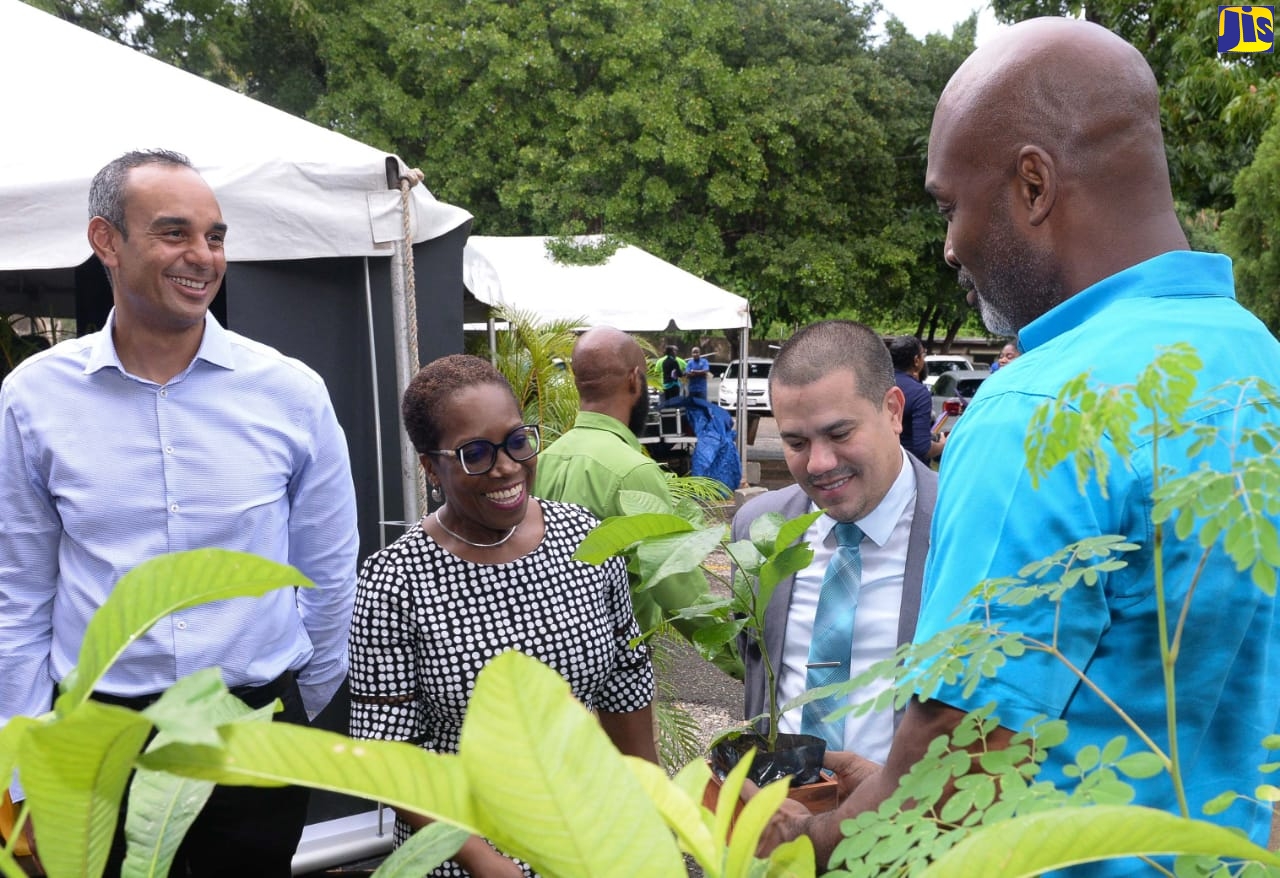 Minister without portfolio in the Ministry of Economic Growth and Job Creation, Senator the Hon. Matthew Samuda (second right), observes as Forestry Department Chief Executive Officer and Conservator of Forests, Ainsley Henry (right), presents a plant to Director of the Jamaica Public Service Company Foundation, Winsome Callum (second left). Occasion was the recent launch of the Forestry Department’s School Tree Planting Competition, at the agency’s offices in Constant Spring, St. Andrew. Looking on is President, Fraser, Fontaine and Kong Limited, Gerrard Fontaine.