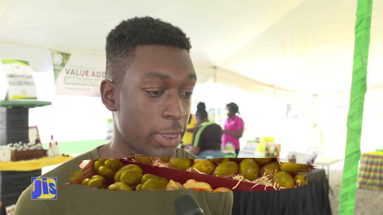 The Future of Agriculture-Agri-Youth Innovation at Denbigh 2022…