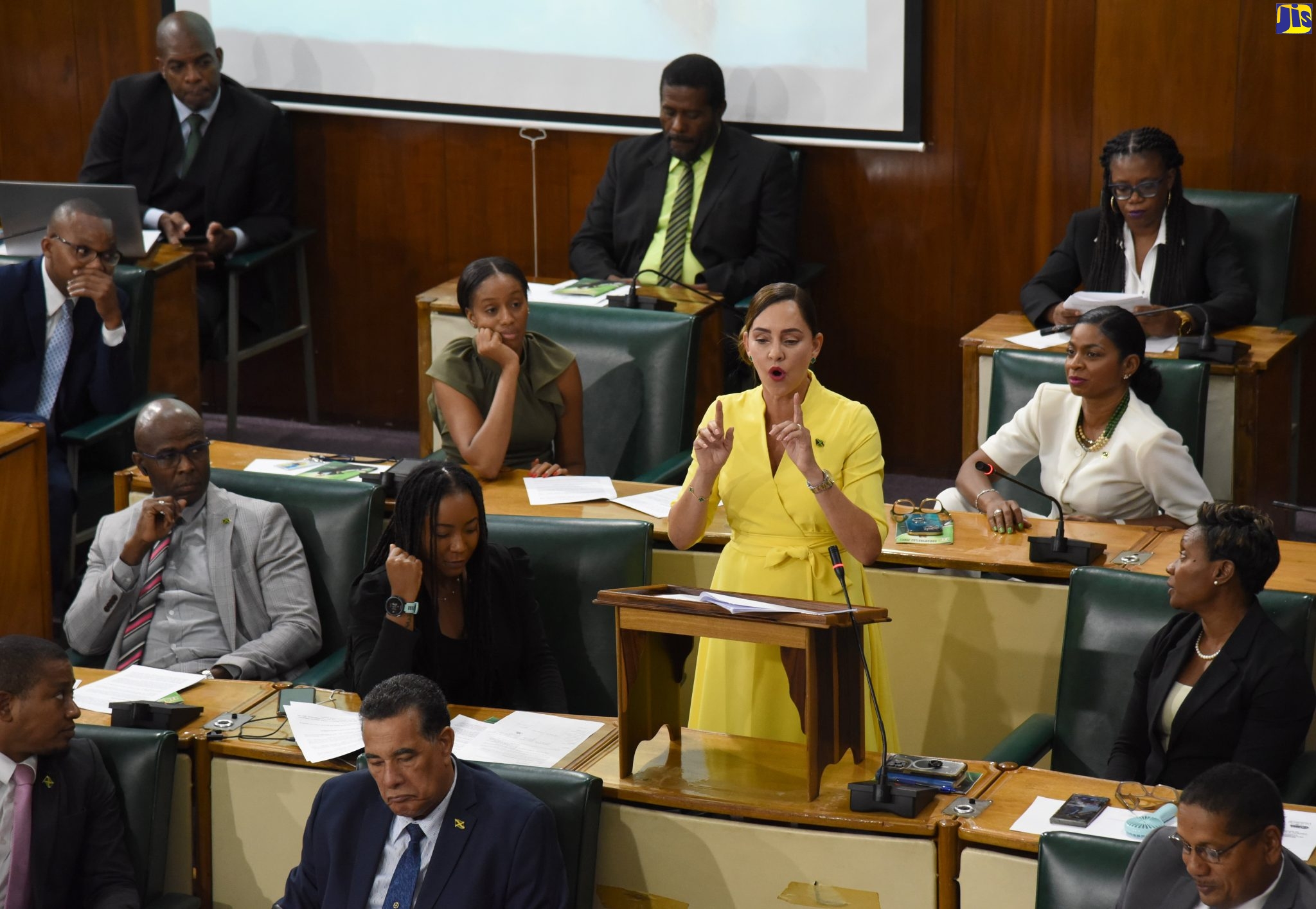 Member of Parliament for Portland Eastern, Ann Marie Vaz, making her contribution to the 2022/23 State of the Constituency Debate in the House of Representatives on Wednesday (September 21).