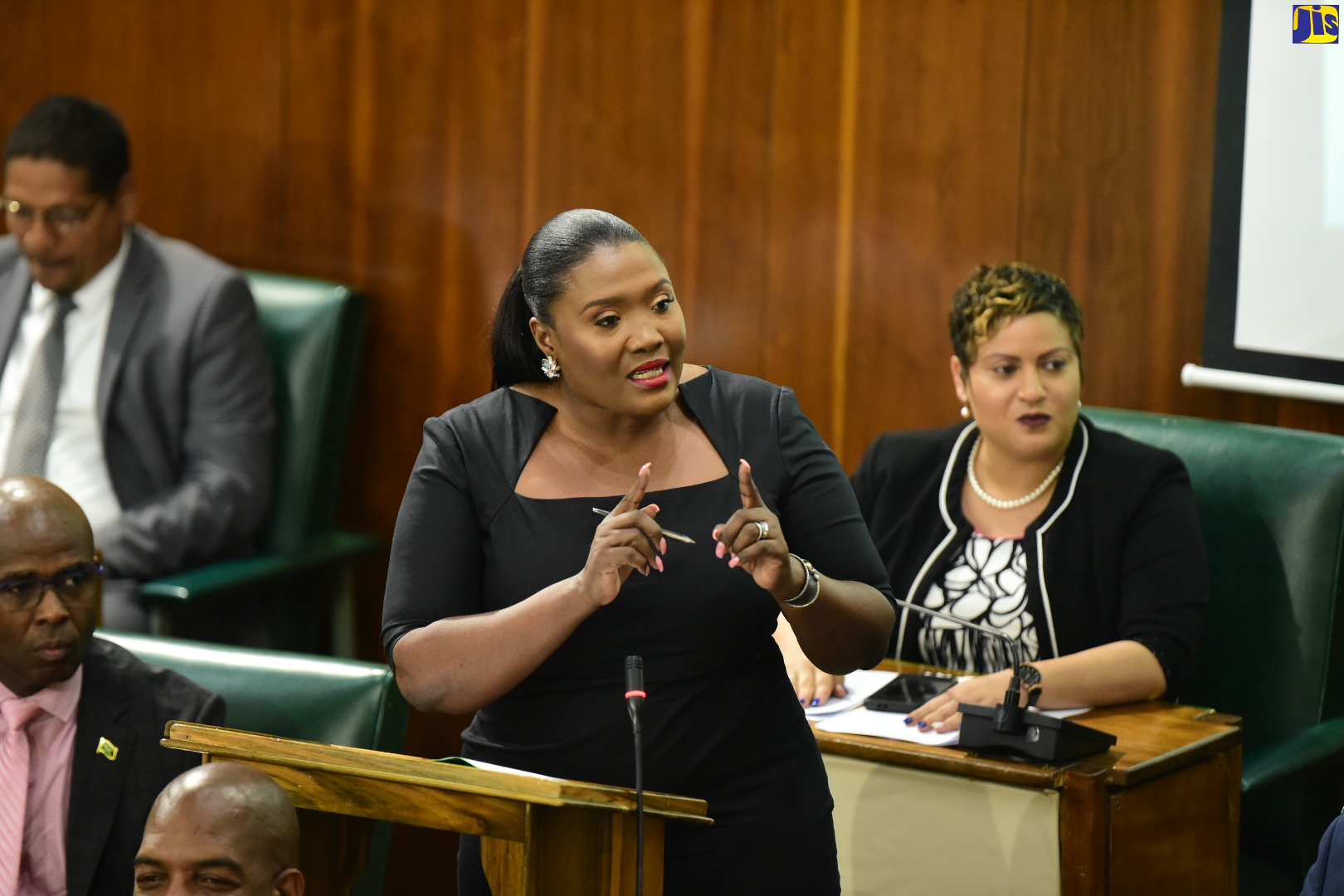 Member of Parliament for St. Catherine North Eastern, Kerensia Morrison, contributing to the State of the Constituency Debate in the House of Representatives recently.