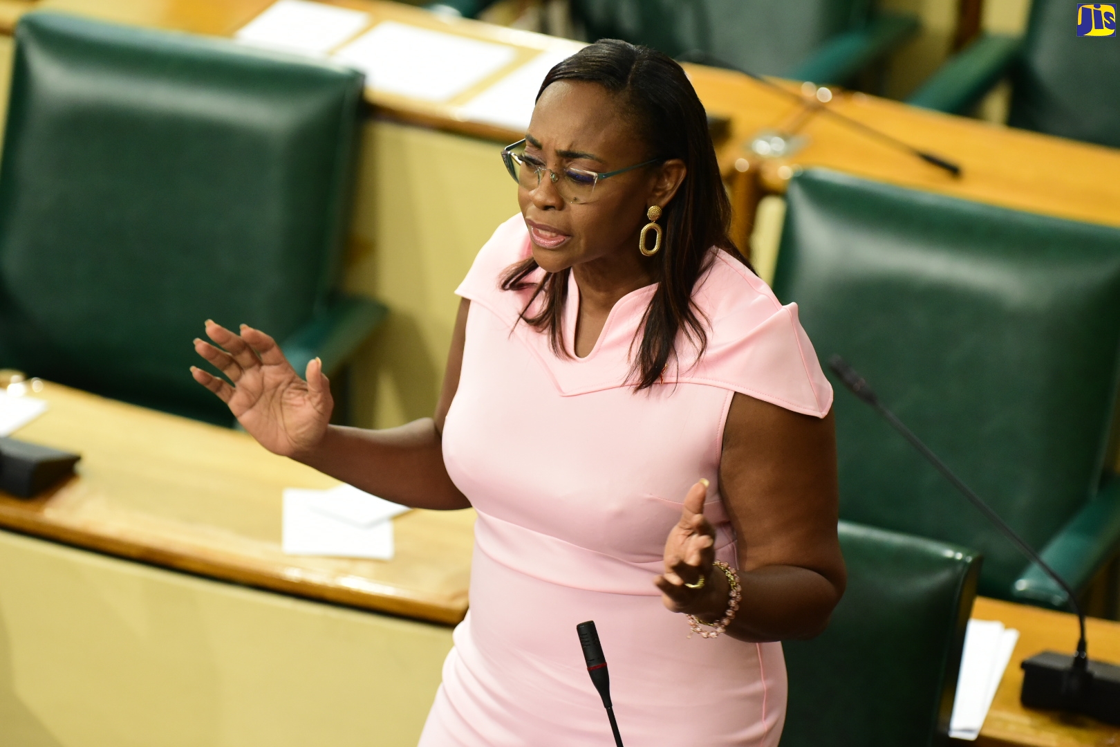 Deputy Speaker of the House of Representatives and Member of Parliament, St. Andrew East Rural, the Most Hon. Juliet Holness, addressing the Lower House on Tuesday (October 4).