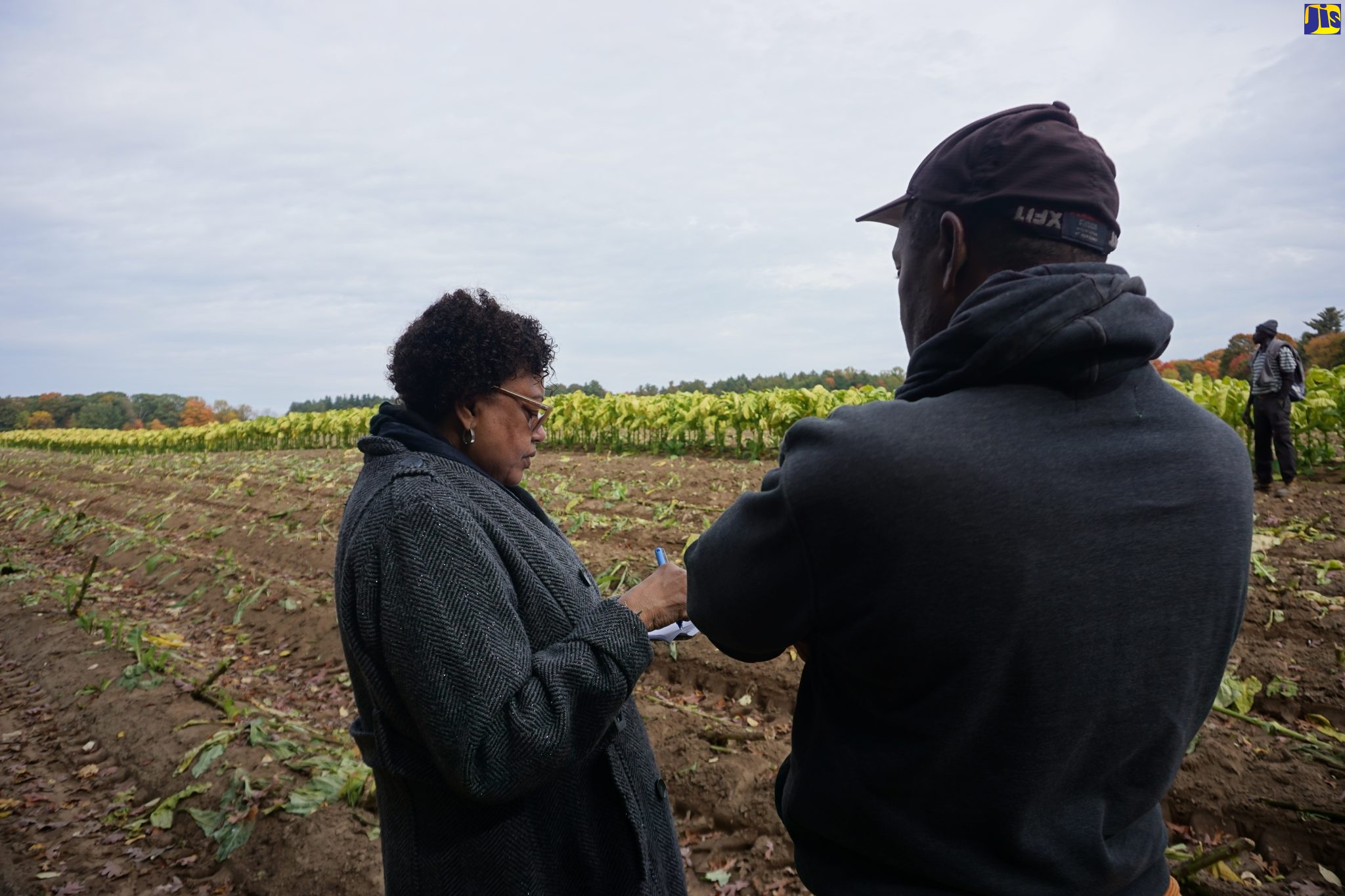 Jamaican Farm Workers in Canada Welcome Factfinders