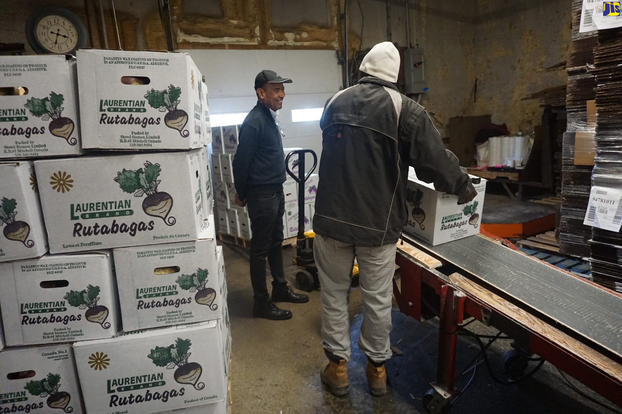Caribbean Employers’ Confederation President, Wayne Chen (left), interacts with a Jamaican farm worker in the production area of a rutabaga farm in Canada today (October 12). A special fact-finding team from Jamaica is in the North American country to probe the status of the workers.