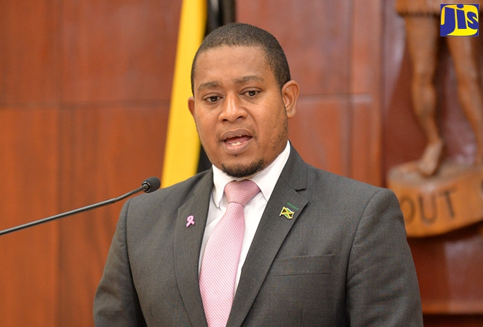 Minister Without Portfolio in the Office of the Prime Minister, Hon. Floyd Green.