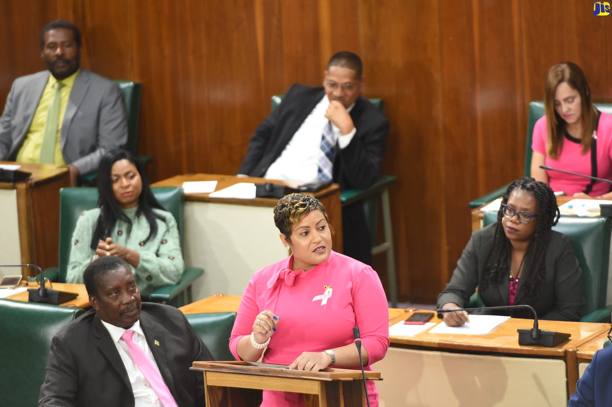 Member of Parliament, St. Ann North Western, Krystal Lee, speaks in the  State of the Constituency Debate, in the House of Representatives, recently.